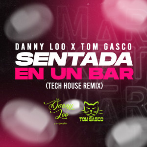 收聽Danny Loo的Sentada En Un Bar (Tech House Remix)歌詞歌曲