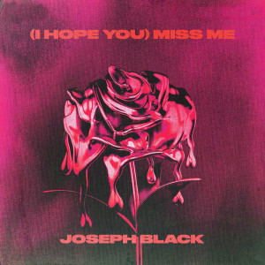收聽Joseph Black的(i hope you) miss me (Explicit)歌詞歌曲