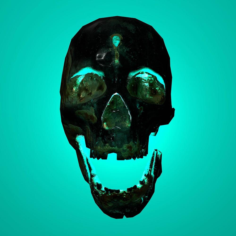 Sens unique (WSkull #6)