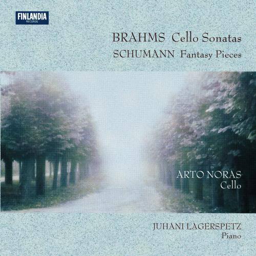 Fantasy Pieces Op.73 [Originally for Clarinet and Piano] : III Rasch und mit Feuer