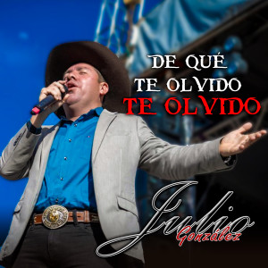 收聽Julio Gonzalez的De qué Te Olvido, Te Olvido歌詞歌曲
