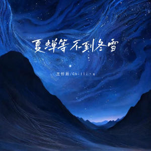 Album 夏蝉等不到冬雪 from 王忻辰