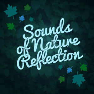 ดาวน์โหลดและฟังเพลง Lakeside Afternoon พร้อมเนื้อเพลงจาก Sounds of Nature Relaxation