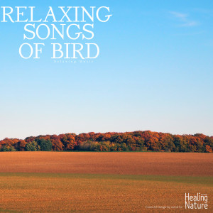 Listen to Relaxing Nature Sound from Birds 1 song with lyrics from 힐링 네이쳐 Nature Sound Band