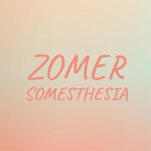 Various Artists的專輯Zomer Somesthesia