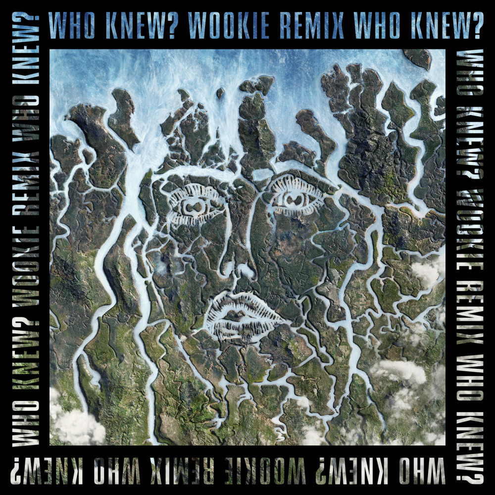 Who Knew? (Wookie Remix|Explicit)