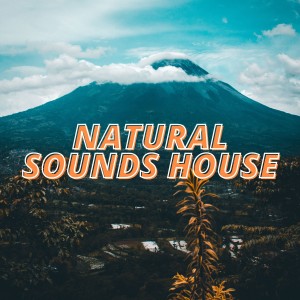 Various Artists的專輯Natural Sounds House