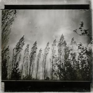 Dengarkan lagu Dawn nyanyian Nature Sounds dengan lirik