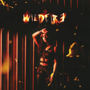 Dengarkan Wildfire lagu dari Against the Current dengan lirik
