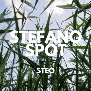 Stefano Spot的專輯Steo