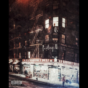 Album Feeling U (Explicit) from Q.