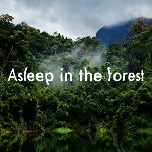 收聽Dreams of Nature的Early Morning歌詞歌曲