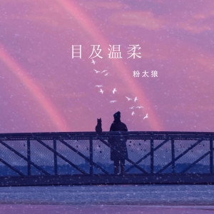 Listen to 目及温柔 (伴奏) song with lyrics from 粉太狼