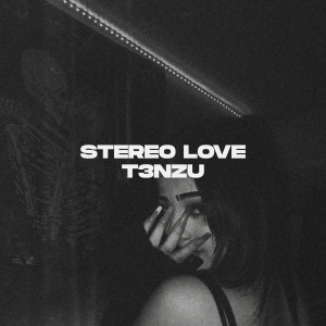 T3NZU的專輯Stereo Love