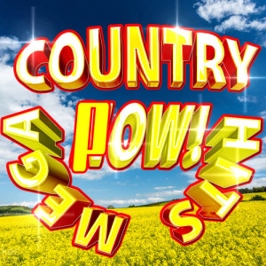 收聽Country Music Heroes的Dirt Road Anthem歌詞歌曲