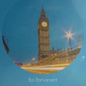 Various的专辑Boi Parliament
