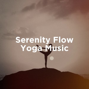 Serenity Flow Yoga Music dari Various Artists