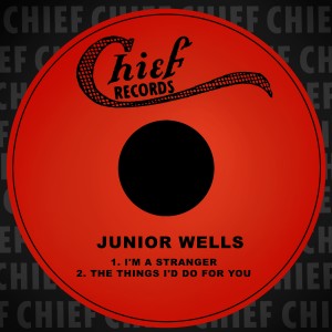 ดาวน์โหลดและฟังเพลง The Things I'd Do for You พร้อมเนื้อเพลงจาก Junior Wells