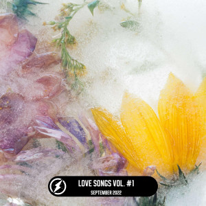 Various的專輯Love Songs, Vol.1