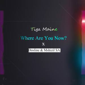ดาวน์โหลดและฟังเพลง Where Are You Now? พร้อมเนื้อเพลงจาก Tiga Maine