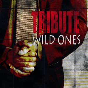 ดาวน์โหลดและฟังเพลง Wild Ones (Flo Rida feat. Sia Tribute) พร้อมเนื้อเพลงจาก The Singles