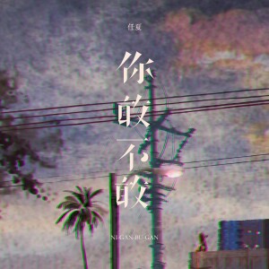 Album 你敢不敢 from 任夏