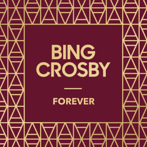 收听Bing Crosby的The Last Round-Up (From "Ziegfeld Follies Of 1934")歌词歌曲