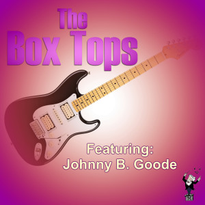 ดาวน์โหลดและฟังเพลง Runaround Sue (Live) พร้อมเนื้อเพลงจาก The Box Tops