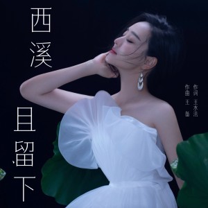 Album 西溪且留下 from 周旋