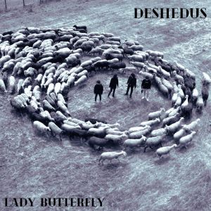 Album Lady butterfly from 
