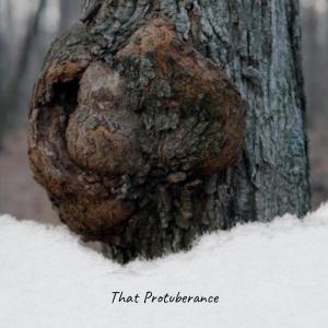 Album That Protuberance from 