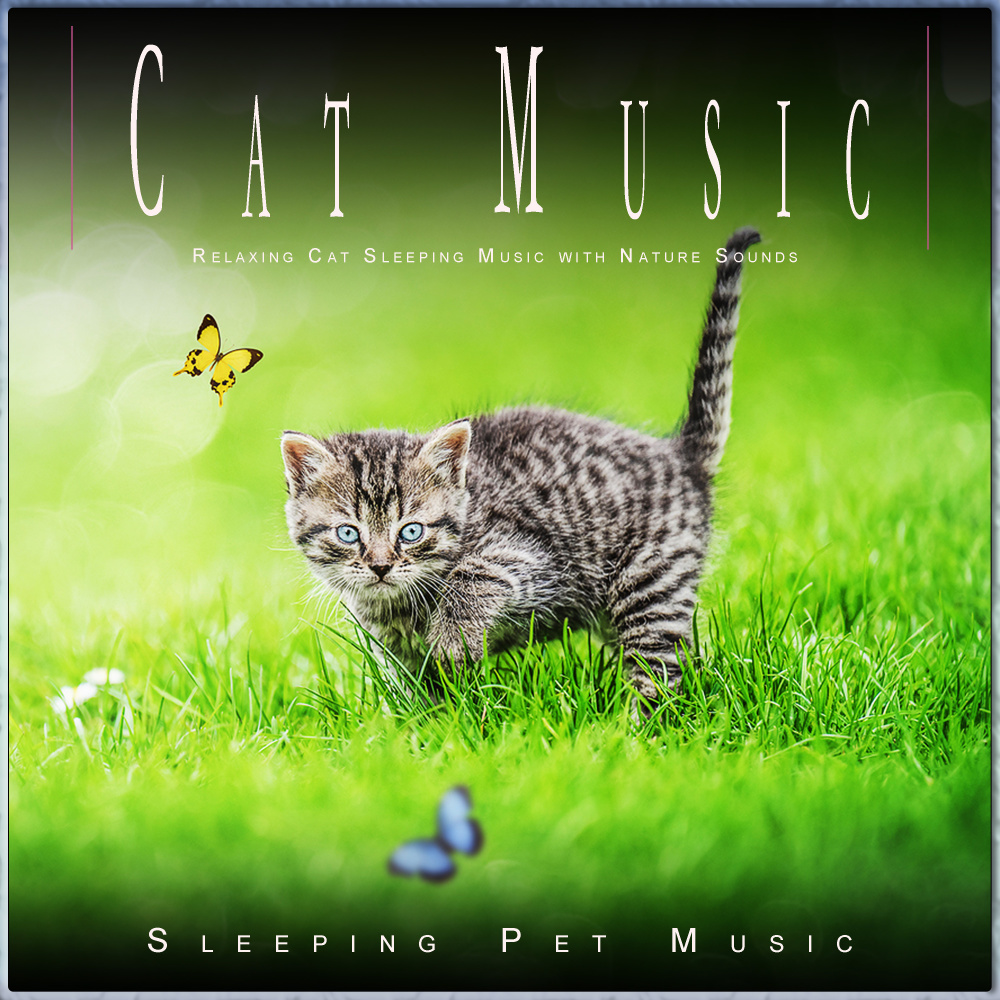 The Best Music for Cats