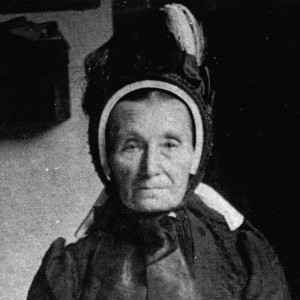 ดาวน์โหลดและฟังเพลง The Freakshow (Dub) พร้อมเนื้อเพลงจาก Wildacre