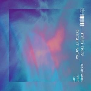 Kolby White的專輯RIGHT NOW (feat. LJAY & doht) [Explicit]