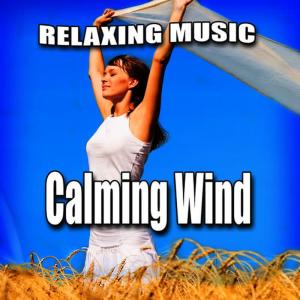 收聽Relaxing Music的Windswept Thoughts Song with Nature Sound歌詞歌曲