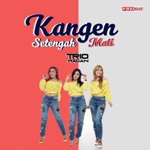 收聽Trio Macan的Kangen Setengah Mati歌詞歌曲