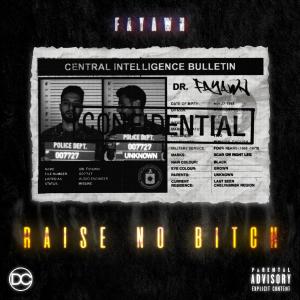 Listen to Raise No Bitch (Explicit) song with lyrics from Fayawn