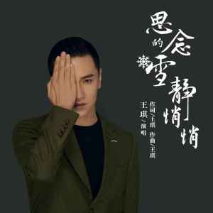 收聽王琪的思念的雪靜悄悄歌詞歌曲