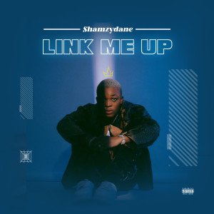 Listen to Link Me Up (Explicit) song with lyrics from Shamzydane