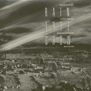收聽Rain Tree Crow的Every Colour You Are (Remastered 2003)歌詞歌曲