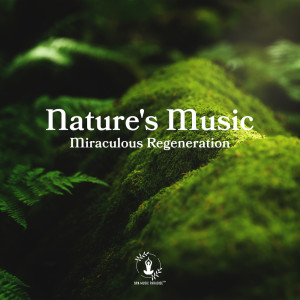 Album Miraculous Regeneration (Nature's Music for Fast Healing, Revitalizing, Refreshing and Massage) oleh Spa Music Paradise