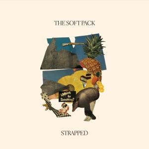 Dengarkan Densmore's Gone lagu dari The Soft Pack dengan lirik