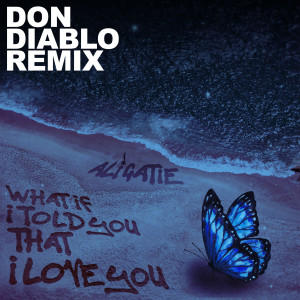 收聽Ali Gatie的What If I Told You That I Love You (Don Diablo Remix)歌詞歌曲