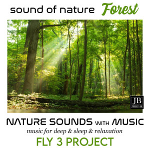 收聽Fly 3 Project的Sognando Tra I Profumi歌詞歌曲