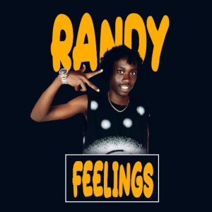 Album Feelings from Randy