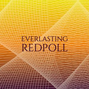 Various Artists的專輯Everlasting Redpoll