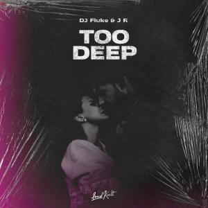 收聽DJ Fluke的Too Deep歌詞歌曲