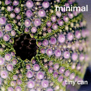 收听Tiny Cato的Tiny Mad 2歌词歌曲