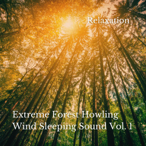 Sleep Music Guys的專輯Relaxation: Extreme Forest Howling Wind Sleeping Sound Vol. 1