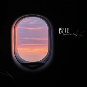 Album 傻瓜（Such A Fool) from 火鸡